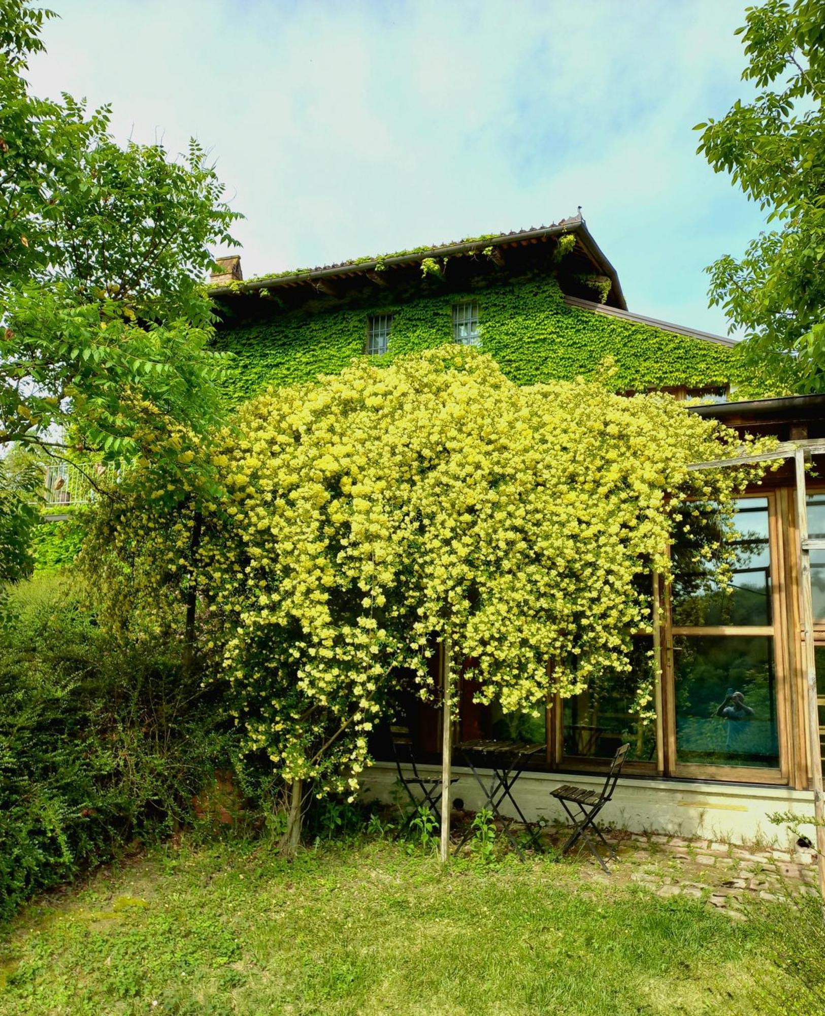 I Conti Della Serva Cinzano Exterior photo